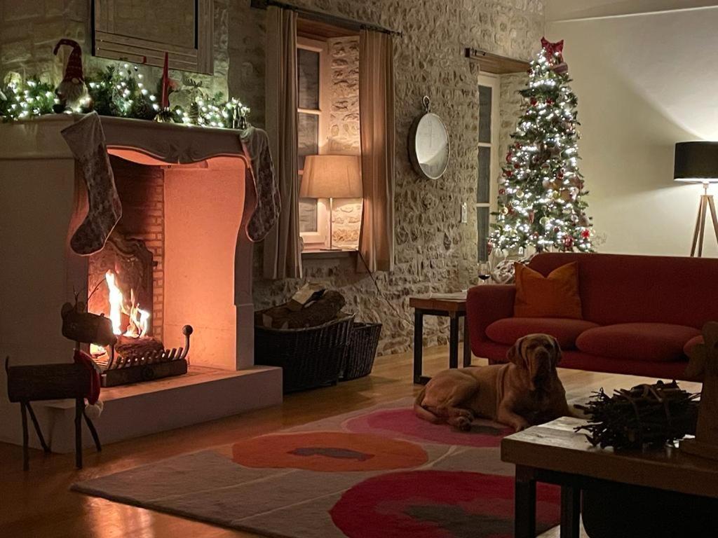 Uniquely Private Holiday Villa In The Charente Puyreaux Экстерьер фото