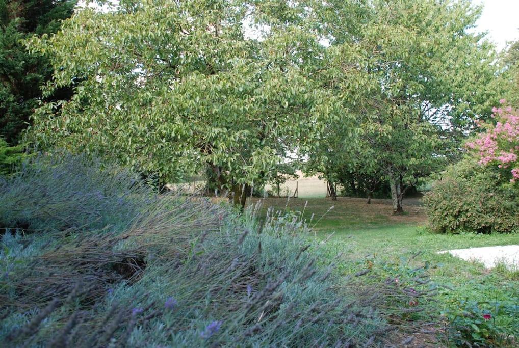 Uniquely Private Holiday Villa In The Charente Puyreaux Экстерьер фото