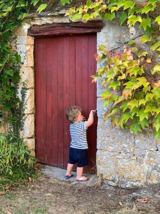 Uniquely Private Holiday Villa In The Charente Puyreaux Экстерьер фото